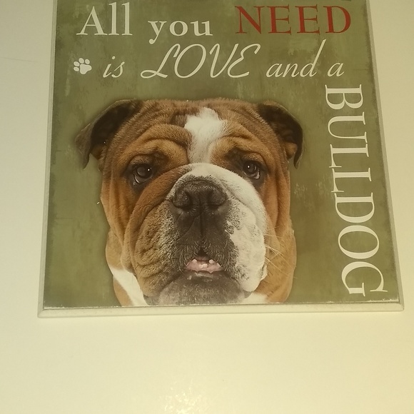 Puppy Pictures - Picture 6 of 8